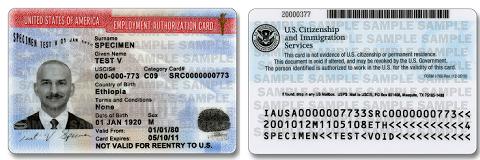 Sample employment authorization card (EAD)