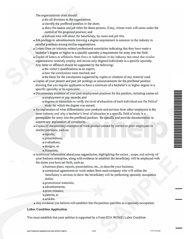 Sample Level 1 RFE for H1B Visa Petition Entry level job on H1B visa