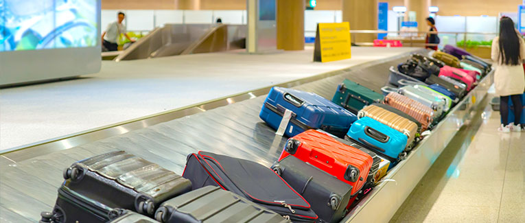 What to Do After Landing at Airport in the U.S.: Baggage Claim, U.S. Customs Check, And More