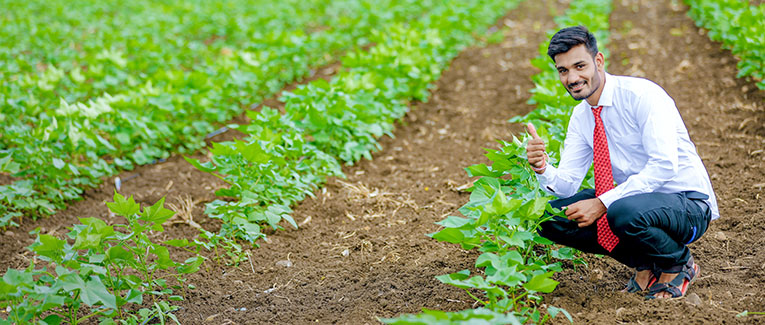 Can You Buy Farmland in the U.S.?