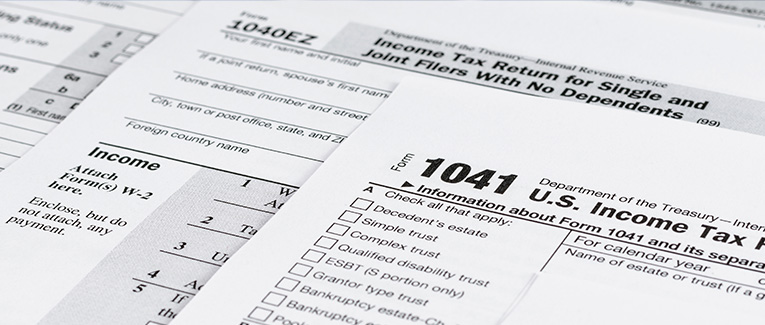 Income Taxes in the USA